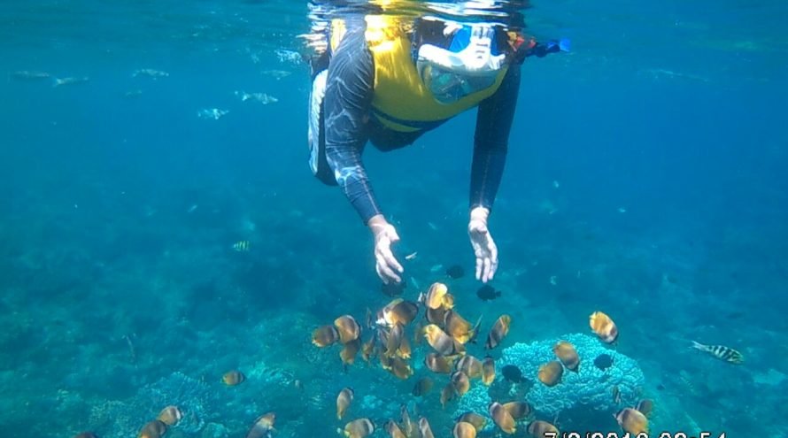 Snorkeling di Nusa Penida